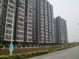 中海金沙湾项目示范单位装饰工程及公共部分装饰工程 (13).JPG