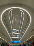 1616050675(1).png