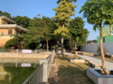 1591175678(1).png